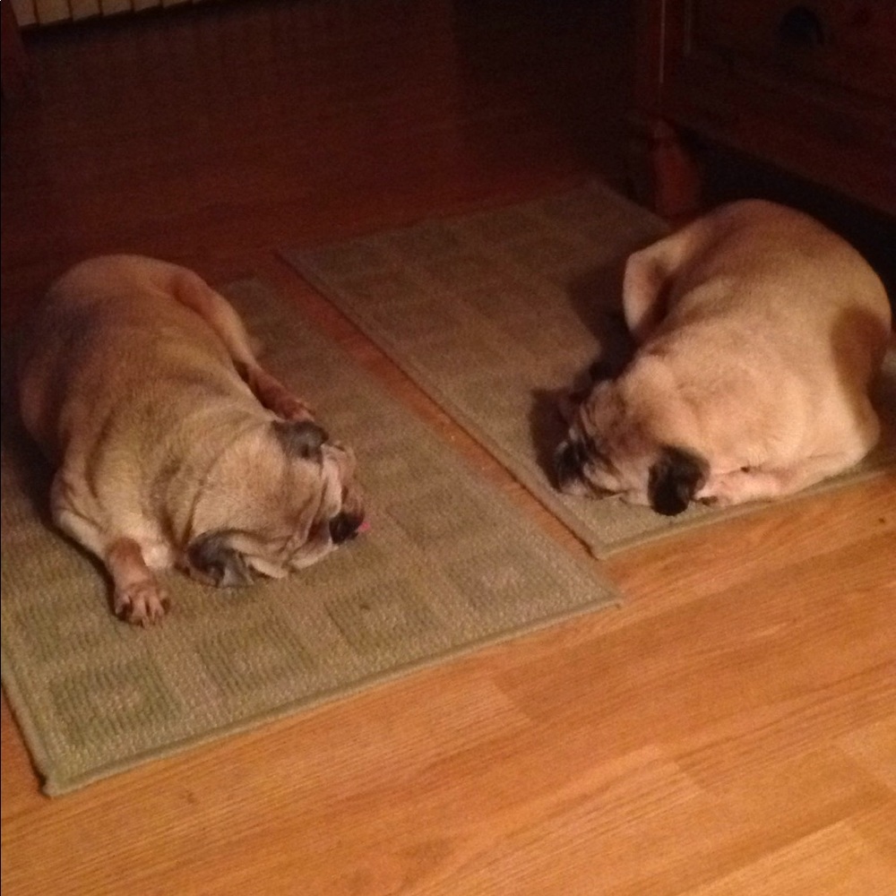 Meet your Posher, Susanne